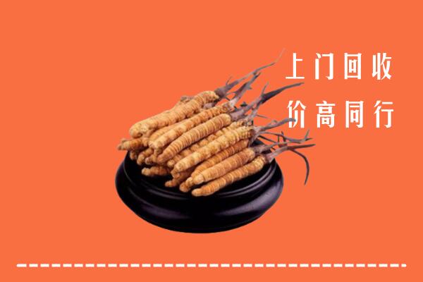 高价求购：宜昌五峰回收散虫草