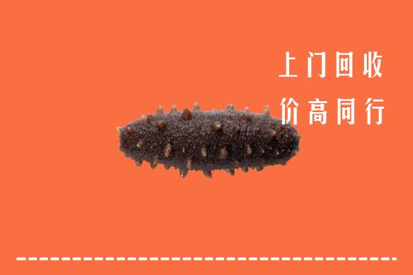 高价求购：宜昌五峰回收海参