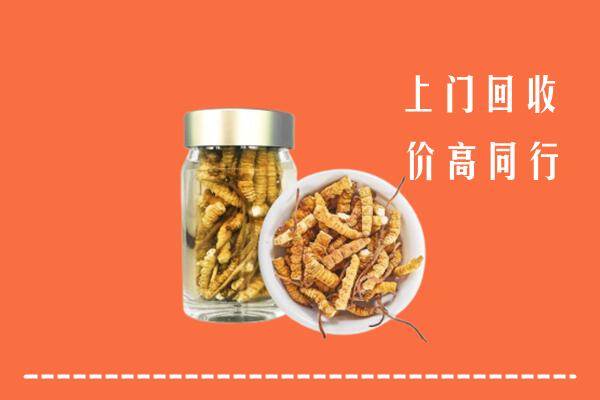 宜昌五峰回收冬虫夏草