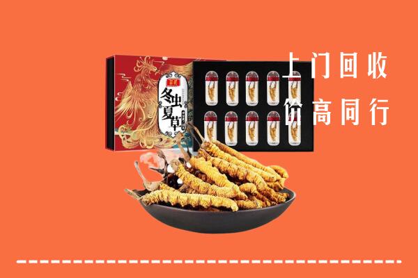 宜昌五峰回收虫草